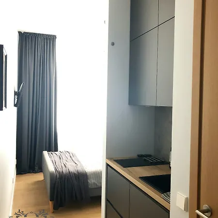 公寓 Park In The Heart Of 里加